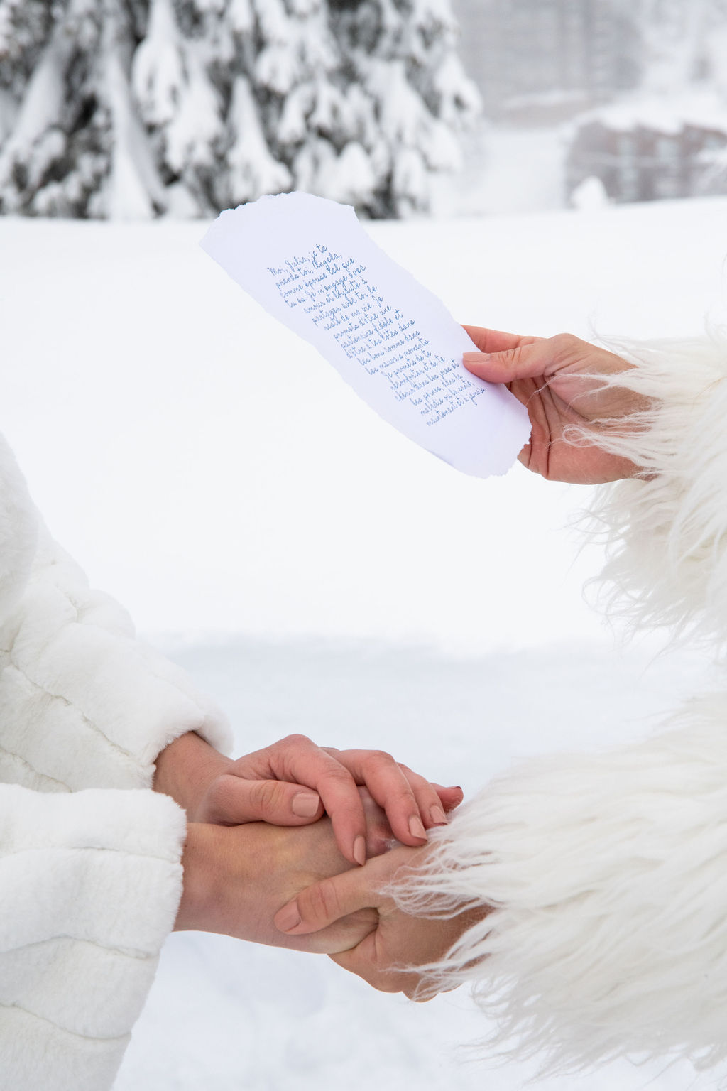 cecile_cayon_elopement_igloo_thais_ceremonie_laique_mariage_officiante (10)