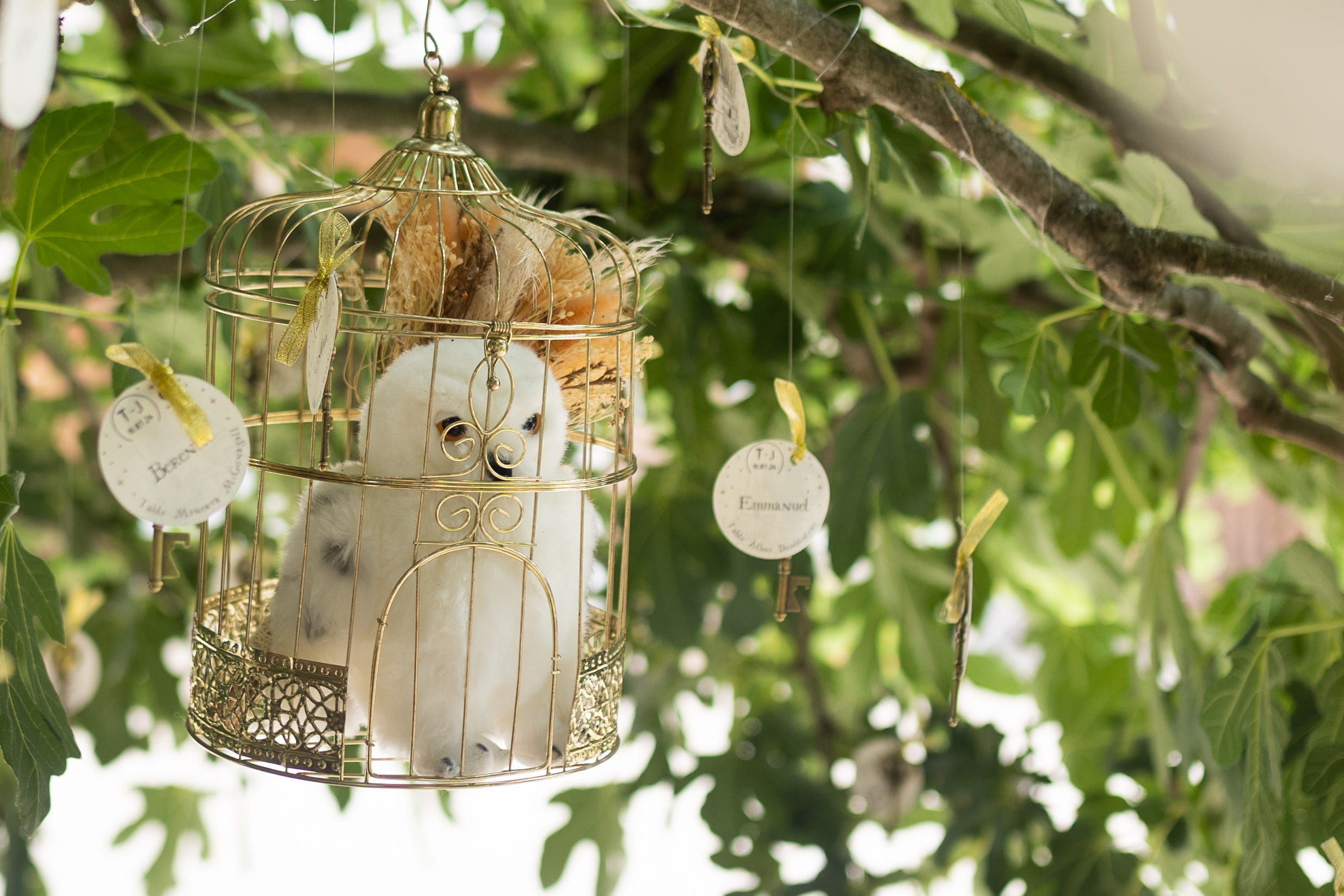 jessica_tanguy_mariage_harry_potter_thais_ceremonie_laique_elopement_accompagnement_renouvellement_de_voeux_officiante (12)