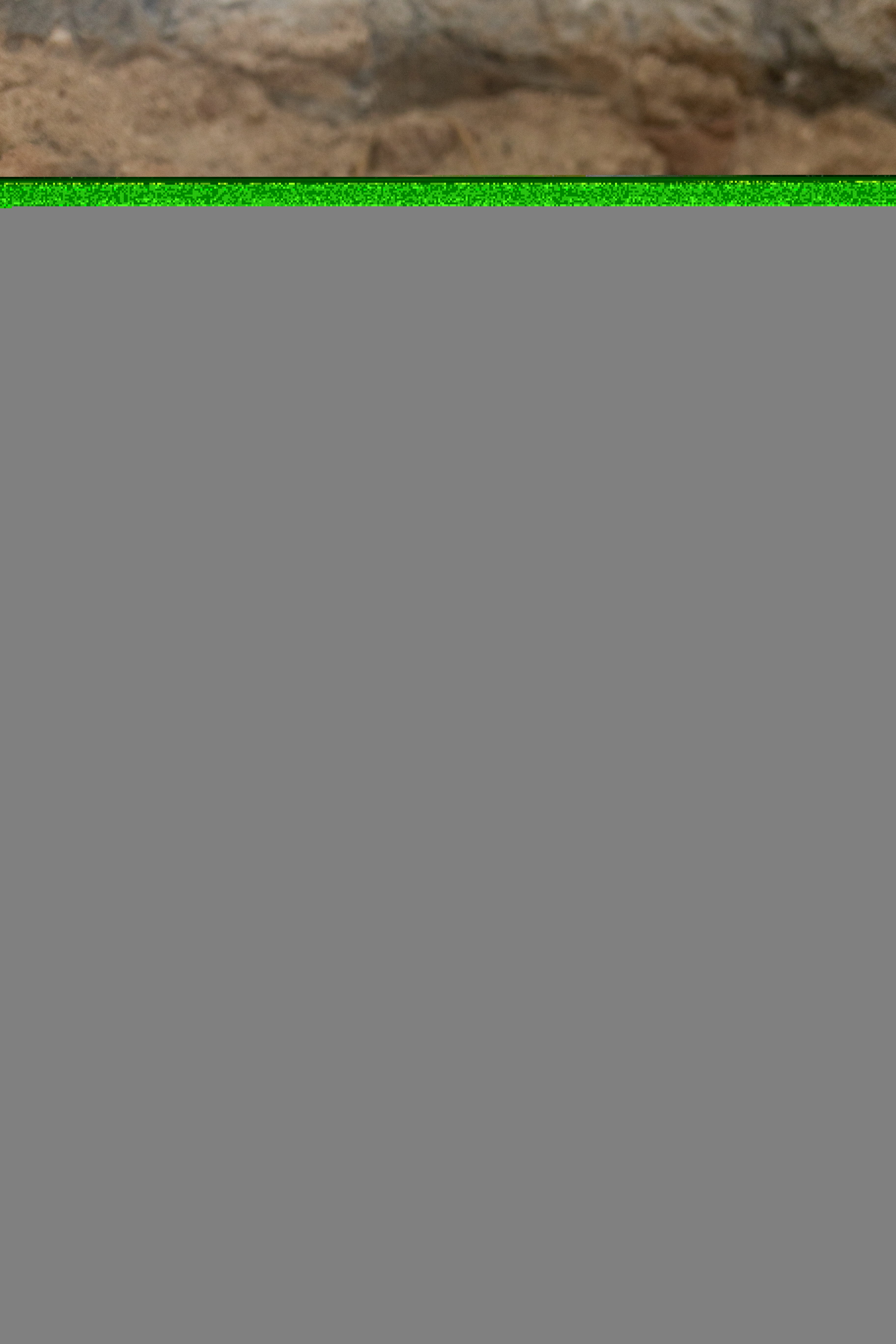 jessica_tanguy_mariage_harry_potter_thais_ceremonie_laique_elopement_accompagnement_renouvellement_de_voeux_officiante (14)