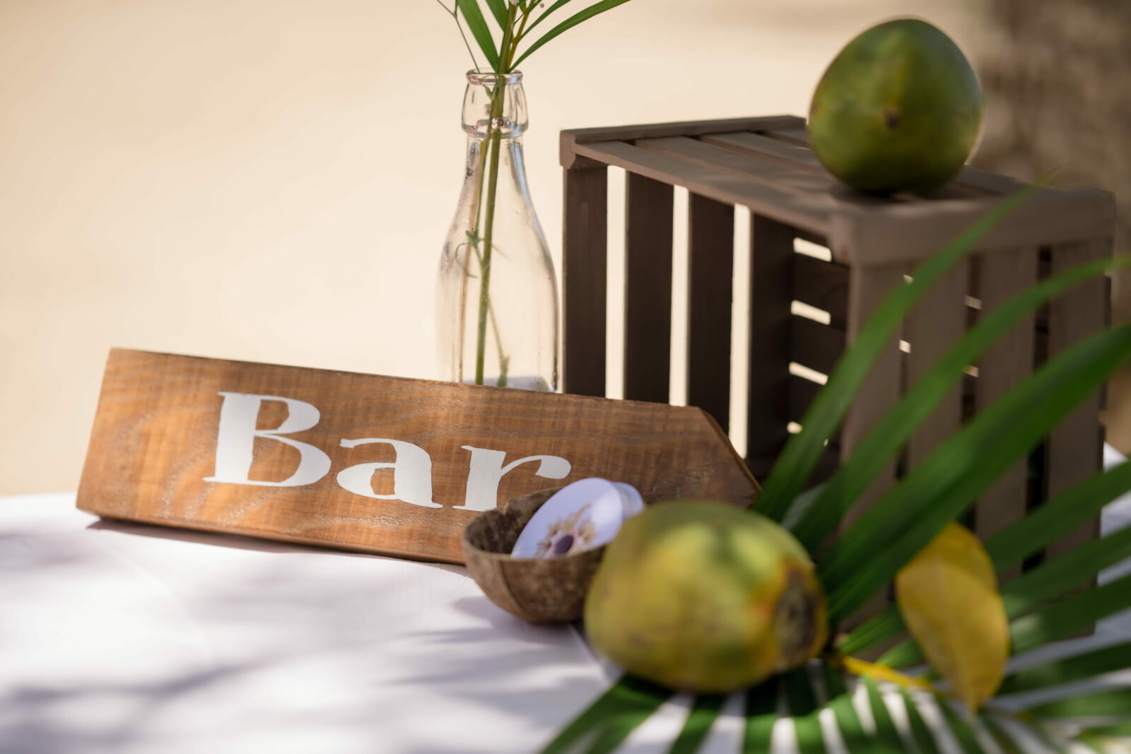 leslie_madrick_thais_ceremonie_bapteme_laique_renouvellement-voeux_elopement_officiante_coaching (2)