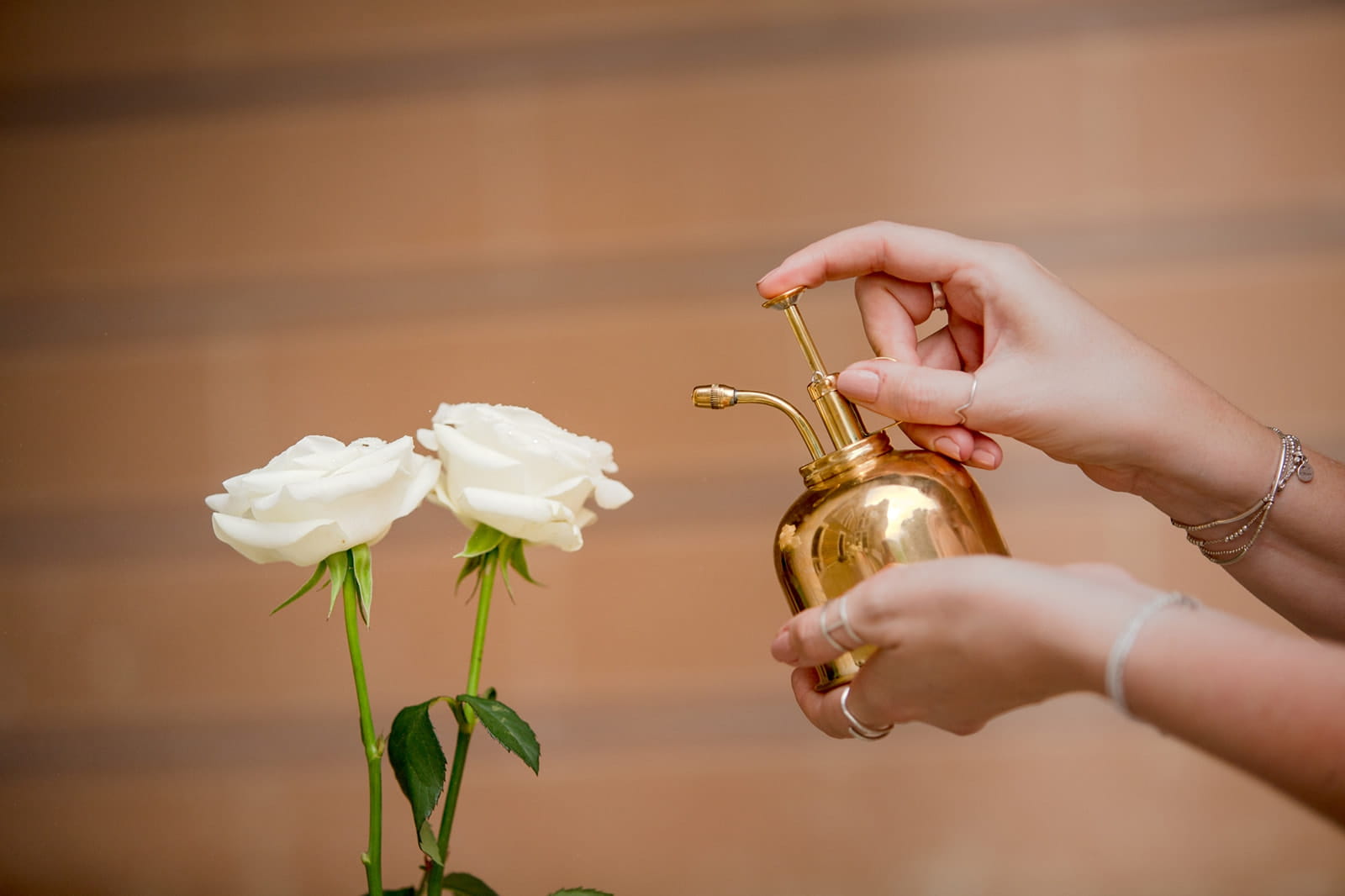 thais_ceremonie_bapteme_laique_renouvellement-voeux_elopement_officiante_coaching (4)