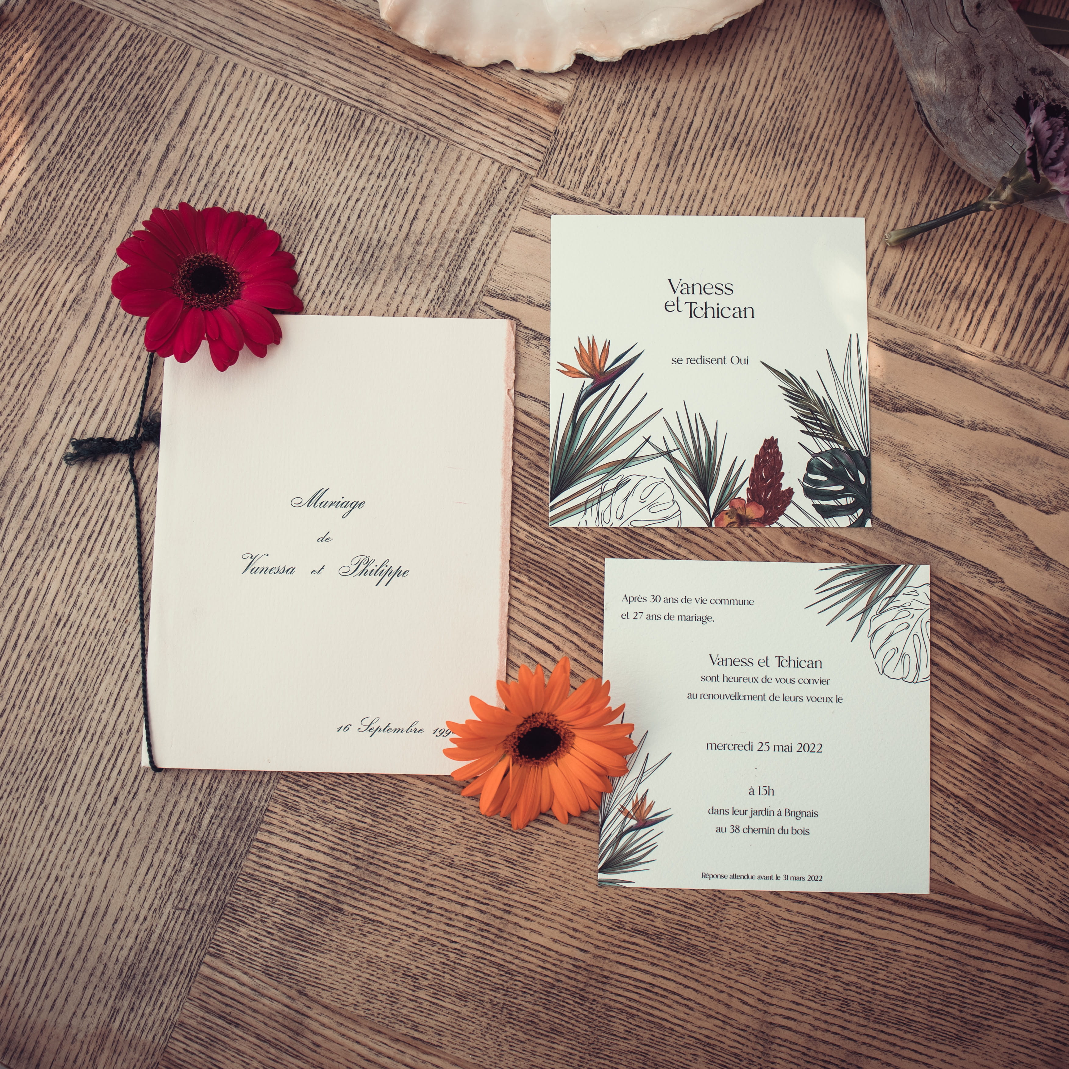 vaness_tchican_thais_ceremonie_laique_mariage_officiante (7)